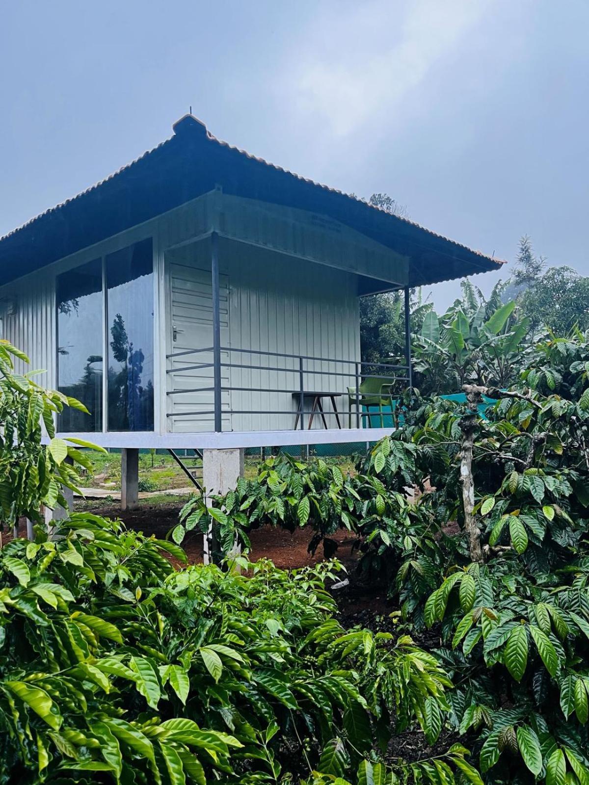 Vigo Homes 瑟格莱什布尔 外观 照片
